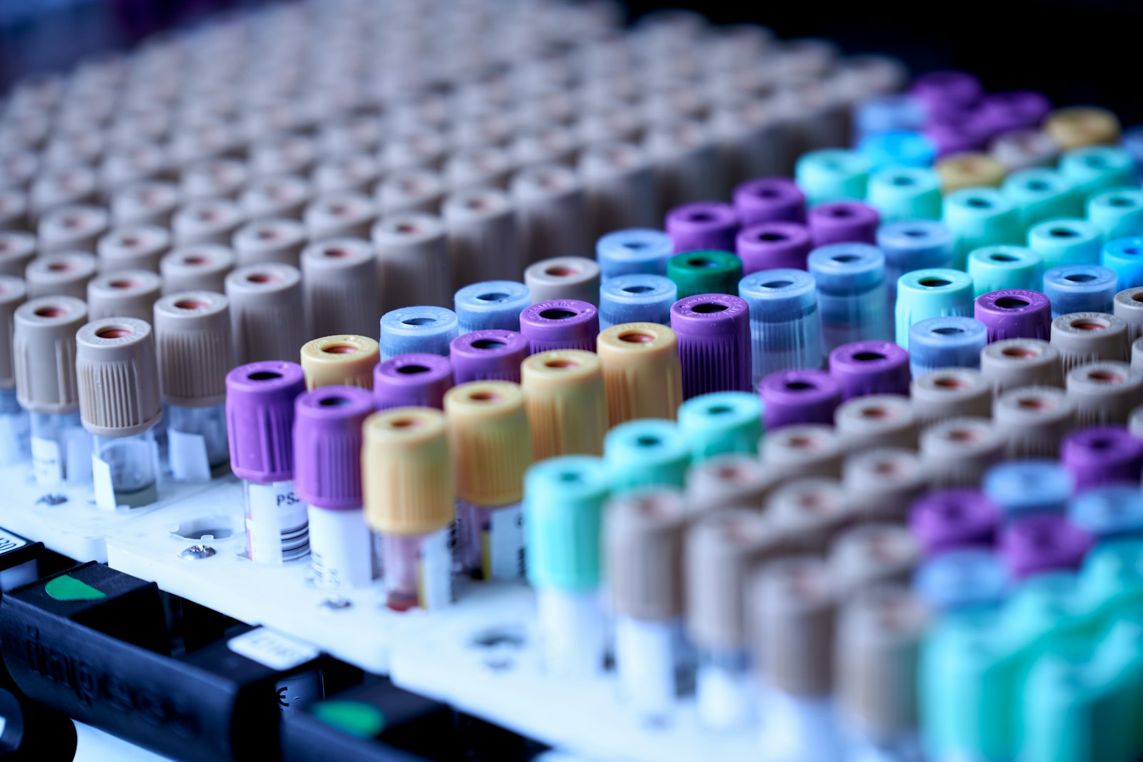 Pathology & Diagnostics